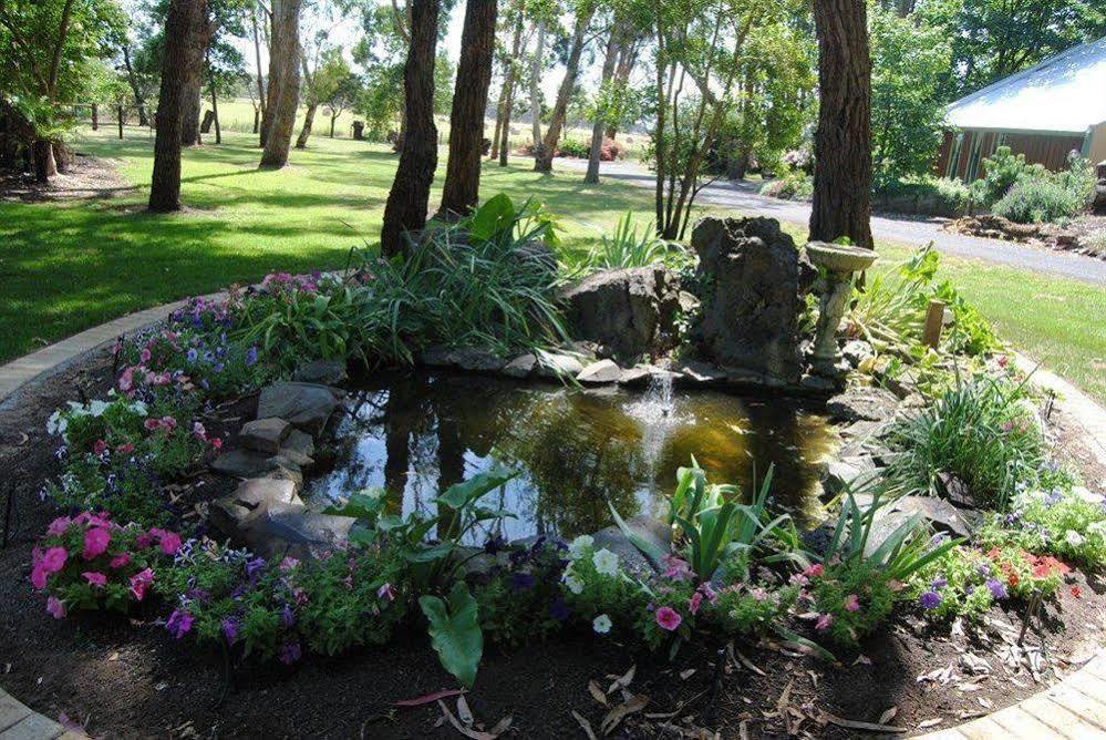 Clarendon Chalets Mount Gambier Extérieur photo